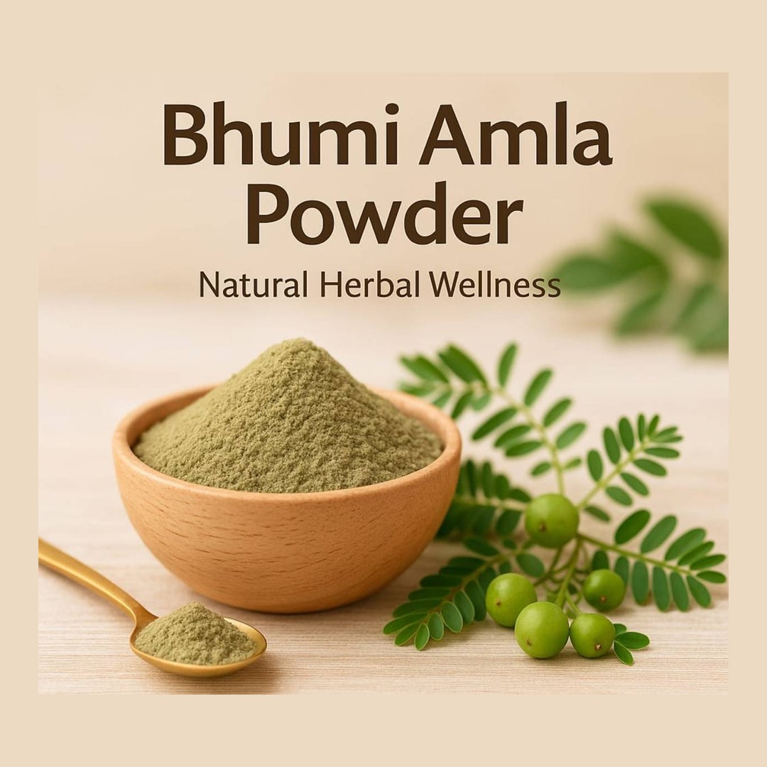 Prakritik Sampada - Amla Powder